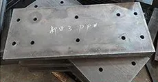 Placa de conexión
